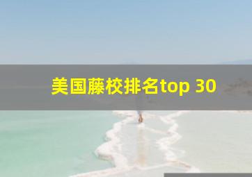 美国藤校排名top 30